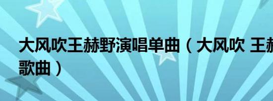 大风吹王赫野演唱单曲（大风吹 王赫野演唱歌曲）