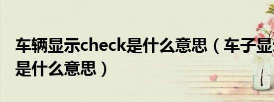 车辆显示check是什么意思（车子显示check是什么意思）