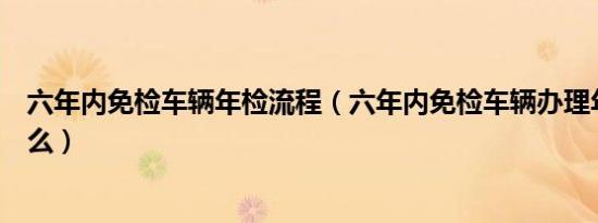 六年内免检车辆年检流程（六年内免检车辆办理年检需要什么）