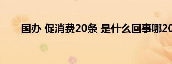 国办 促消费20条 是什么回事哪20条