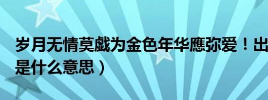 岁月无情莫戯为金色年华應弥爱！出自哪里（是什么意思）