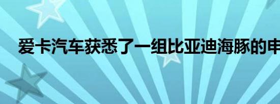 爱卡汽车获悉了一组比亚迪海豚的申报图