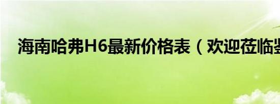 海南哈弗H6最新价格表（欢迎莅临鉴赏）