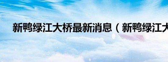 新鸭绿江大桥最新消息（新鸭绿江大桥）