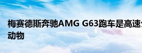 梅赛德斯奔驰AMG G63跑车是高速公路上的动物