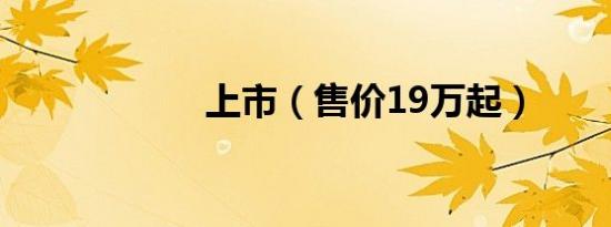 上市（售价19万起）