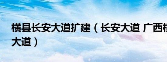 横县长安大道扩建（长安大道 广西横县长安大道）