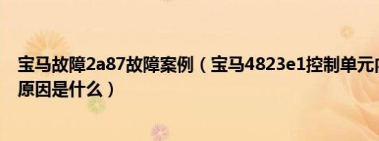 宝马故障2a87故障案例（宝马4823e1控制单元内部故障的原因是什么）