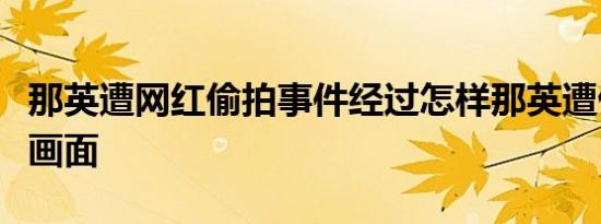 那英遭网红偷拍事件经过怎样那英遭偷拍踢人画面