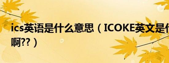 ics英语是什么意思（ICOKE英文是什么意思啊??）