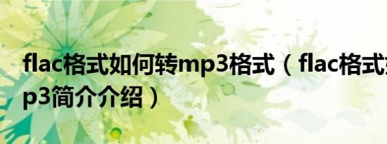 flac格式如何转mp3格式（flac格式如何转mp3简介介绍）