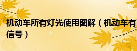 机动车所有灯光使用图解（机动车有哪些灯光信号）