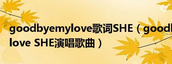 goodbyemylove歌词SHE（goodbye my love SHE演唱歌曲）