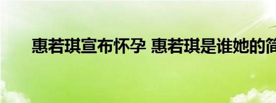 惠若琪宣布怀孕 惠若琪是谁她的简介