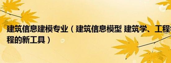 建筑信息建模专业（建筑信息模型 建筑学、工程学及土木工程的新工具）