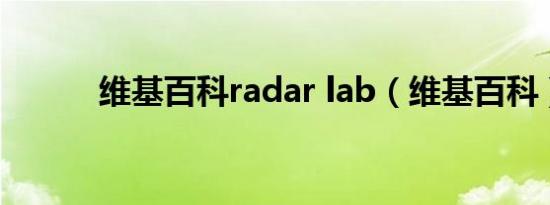 维基百科radar lab（维基百科）