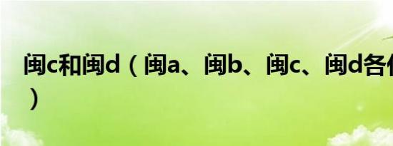 闽c和闽d（闽a、闽b、闽c、闽d各代表哪里）