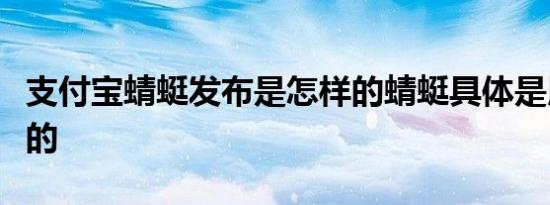 支付宝蜻蜓发布是怎样的蜻蜓具体是用来干嘛的