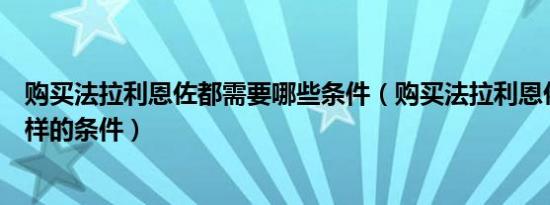 购买法拉利恩佐都需要哪些条件（购买法拉利恩佐需要什么样的条件）