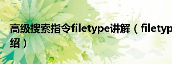 高级搜索指令filetype讲解（filetype用法介绍）