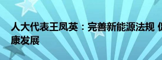 人大代表王凤英：完善新能源法规 促产业健康发展