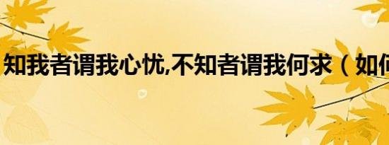 知我者谓我心忧,不知者谓我何求（如何解释）