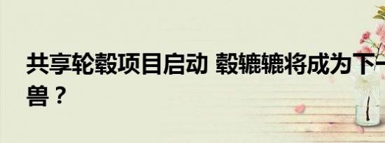 共享轮毂项目启动 毂辘辘将成为下一个独角兽？