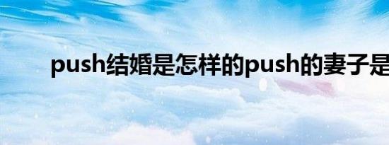 push结婚是怎样的push的妻子是谁