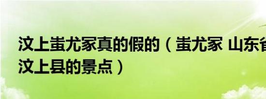 汶上蚩尤冢真的假的（蚩尤冢 山东省济宁市汶上县的景点）