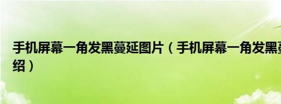 手机屏幕一角发黑蔓延图片（手机屏幕一角发黑蔓延简介介绍）