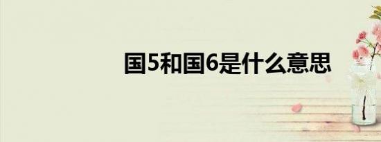 国5和国6是什么意思