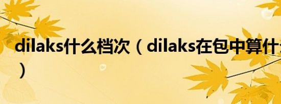 dilaks什么档次（dilaks在包中算什么档次的）