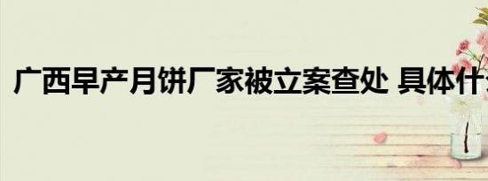 广西早产月饼厂家被立案查处 具体什么原因