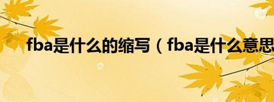 fba是什么的缩写（fba是什么意思啊）