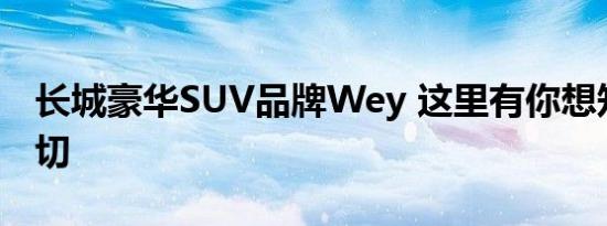 长城豪华SUV品牌Wey 这里有你想知道的一切