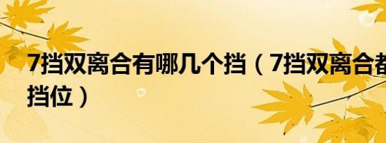 7挡双离合有哪几个挡（7挡双离合都有哪些挡位）