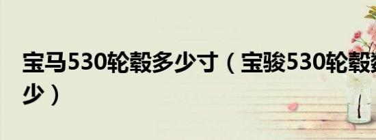 宝马530轮毂多少寸（宝骏530轮毂数据是多少）