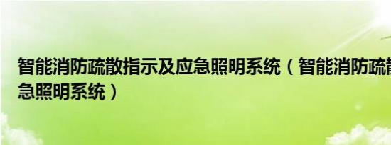 智能消防疏散指示及应急照明系统（智能消防疏散指示及应急照明系统）