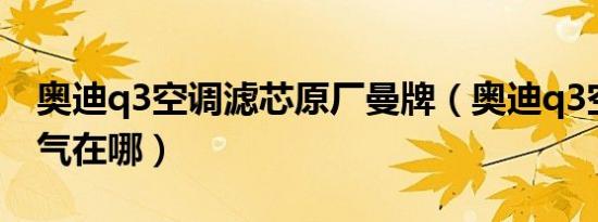 奥迪q3空调滤芯原厂曼牌（奥迪q3空调滤芯气在哪）