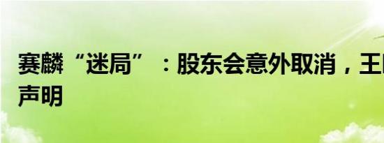 赛麟“迷局”：股东会意外取消，王晓麟再发声明