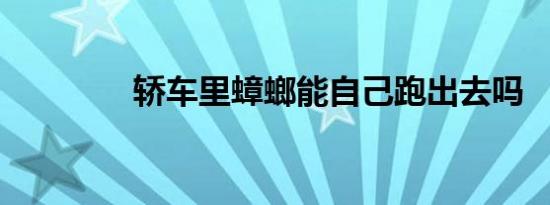 轿车里蟑螂能自己跑出去吗