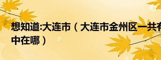 想知道:大连市（大连市金州区一共有几所高中在哪）