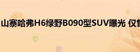 山寨哈弗H6绿野B090型SUV曝光 仅售6万元