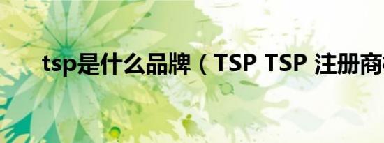 tsp是什么品牌（TSP TSP 注册商标）