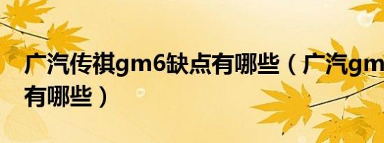 广汽传祺gm6缺点有哪些（广汽gm6的通病有哪些）