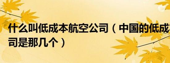 什么叫低成本航空公司（中国的低成本航空公司是那几个）