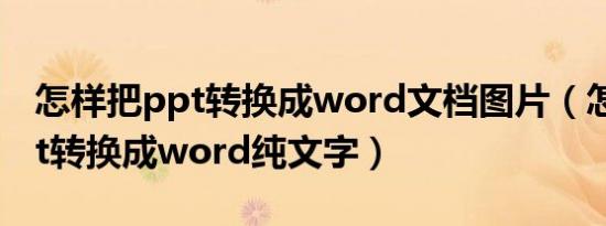 怎样把ppt转换成word文档图片（怎样把ppt转换成word纯文字）