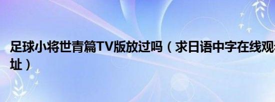 足球小将世青篇TV版放过吗（求日语中字在线观看或下载地址）