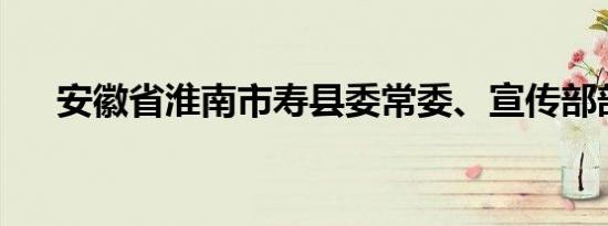 安徽省淮南市寿县委常委、宣传部部长