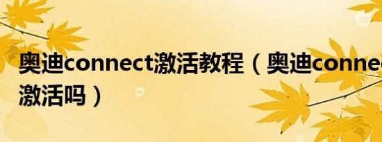 奥迪connect激活教程（奥迪connect有必要激活吗）